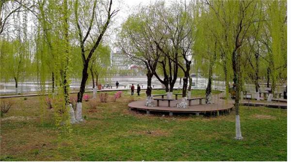 抚顺顺城区最新二手房信息全面揭秘！