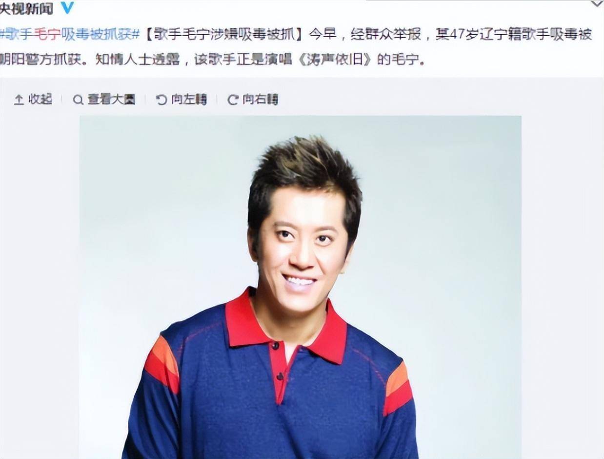 毛宁2017最新动态，时代的见证与声音的传递