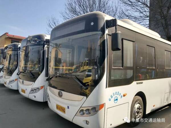 辛集最新司机信息概览，掌握最新司机动态，一览无余！