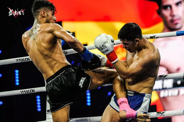 达占巴动态，发展脉络、地位追溯