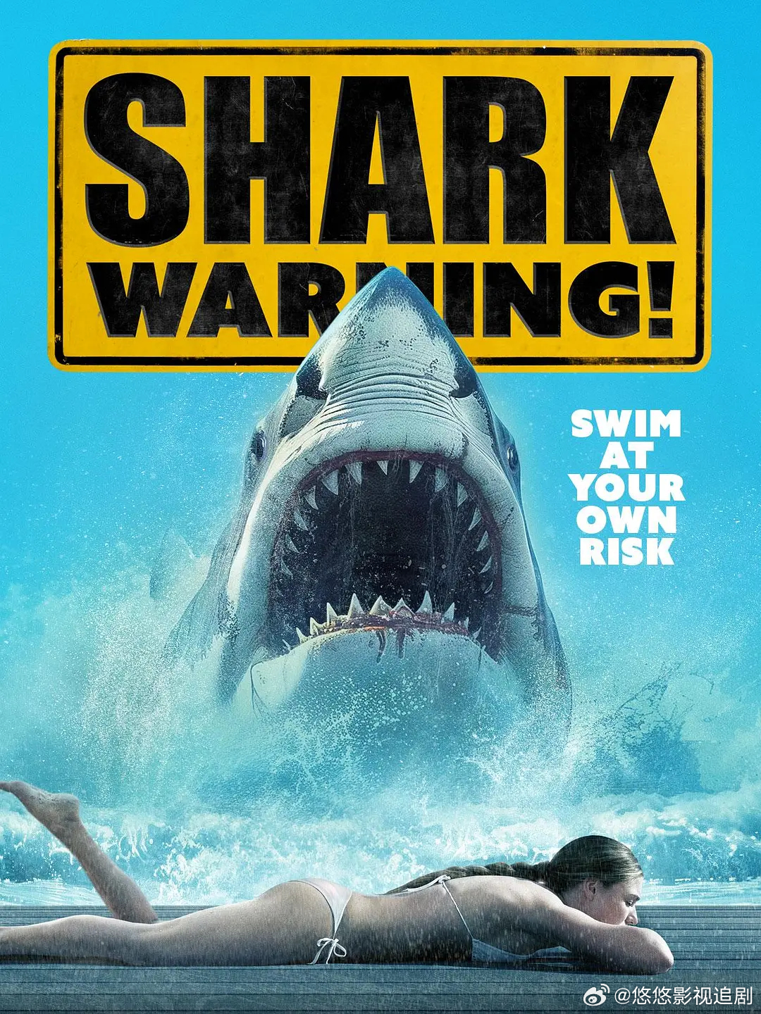 鲨鱼影视引领潮流探索未知领域的新资讯