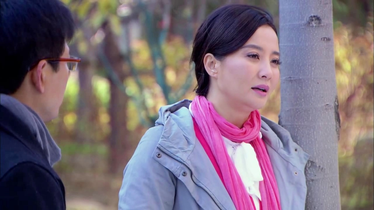 金多宝所属电视剧揭秘，详细步骤指南寻找与识别电视剧金多宝