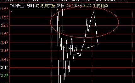 长生股票,小巷中的隐秘宝藏,探索特色小店的无限魅力之旅