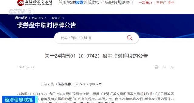 暂停上市债,暂停上市债,一段温馨的日常趣事