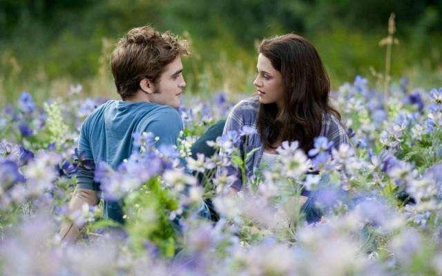 搞定岳父大人电影深度解析与影评分享