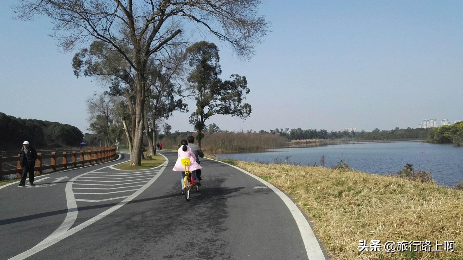 青龙湖公园门票背后的故事，价格变化与自信成长的旅程