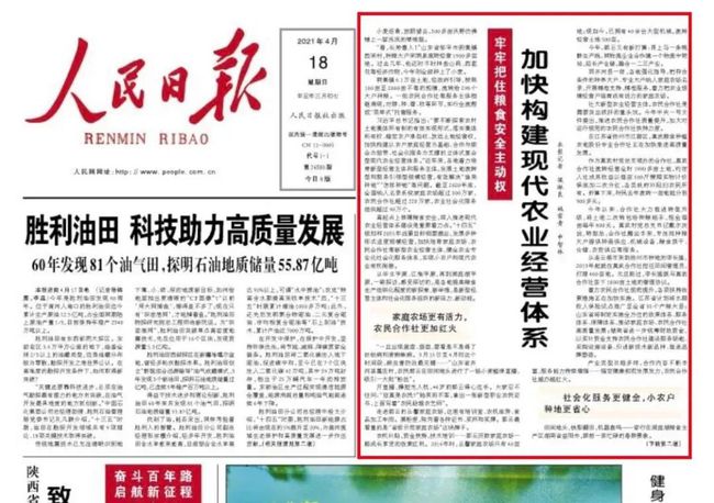 射阳最新招聘信息更新，开启职场新征程，成就自信与梦想之路