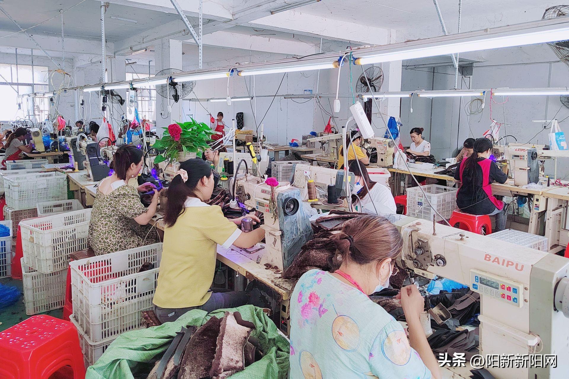 阳新最新招聘资讯详解，观点论述与岗位推荐