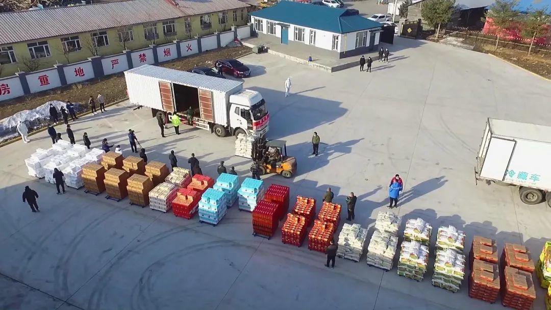 最新肉鸡防疫措施，防疫与友情的交织温暖故事