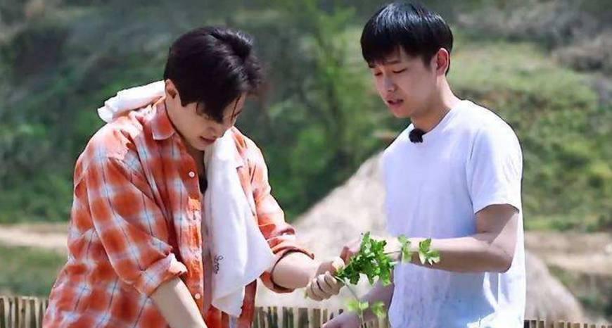 黄磊最新综艺节目亮相，探寻魅力无限的综艺之旅之旅