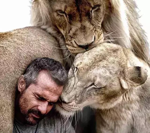 2025年QQ最新头像大全,学习成长,自信成就梦想,正能量与幽默并行