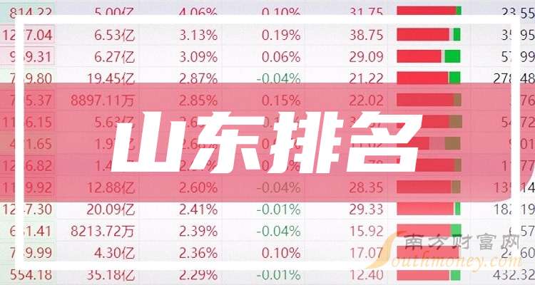 临沂上市公司名单揭秘,探寻小巷深处的独特味道