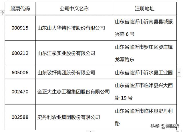 临沂上市公司名单揭秘,探寻小巷深处的独特味道