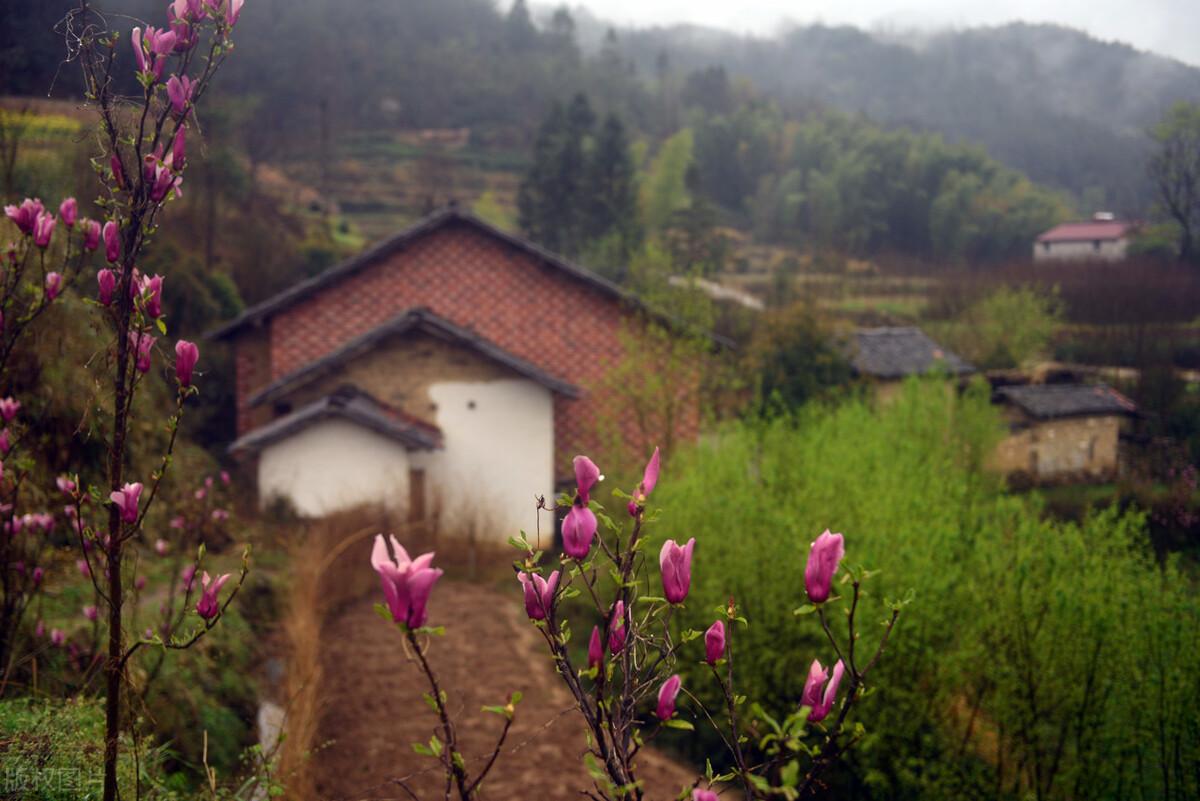 游小妹的最新日常,爱与陪伴的温馨时光记录