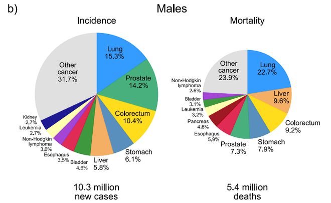 最新死亡数据揭示时代变迁下的生命消逝现象