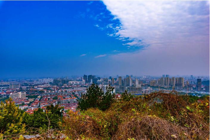 慈溪浒山最新科技职位招聘引领职场新风尚