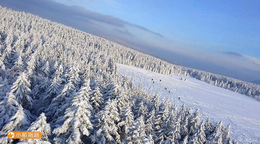 雪乡新动态，自信与成就展现，励志之旅启程