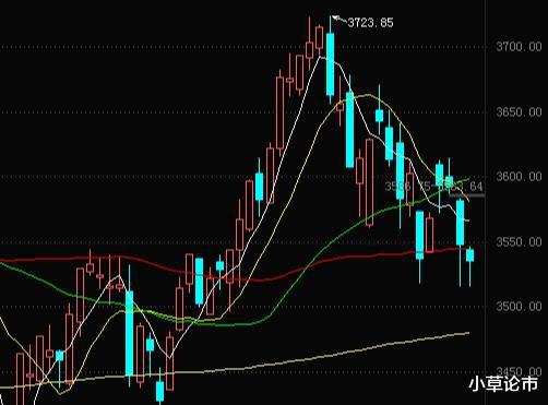今日基金行情与大盘走势，自然美景的心灵探索之旅