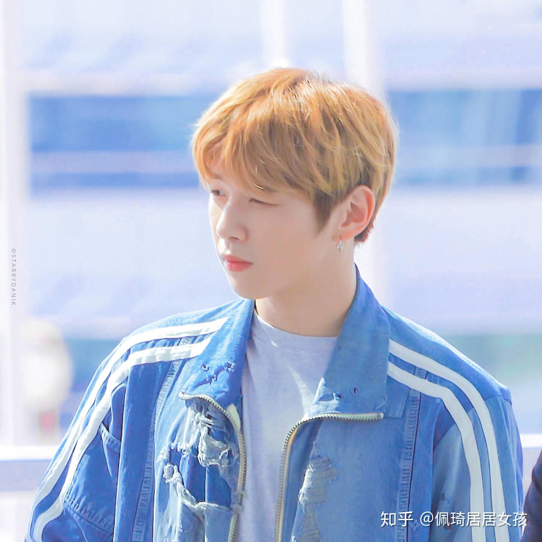 小红书明星粉丝团魅力揭秘,狂热粉丝名背后的故事与魅力所在