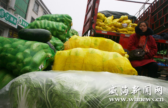 蔬菜批发最新价格概览及分析报告