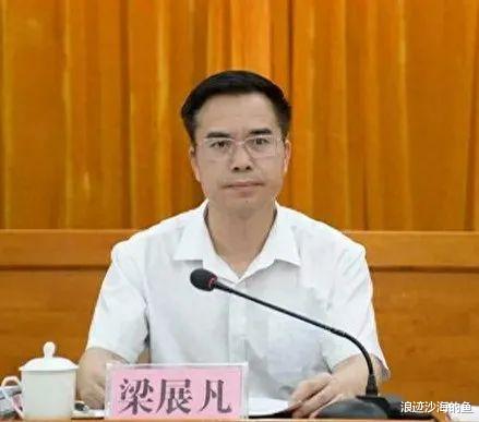 广西邓卓棣最新职务动态与小巷中的独特风味探寻