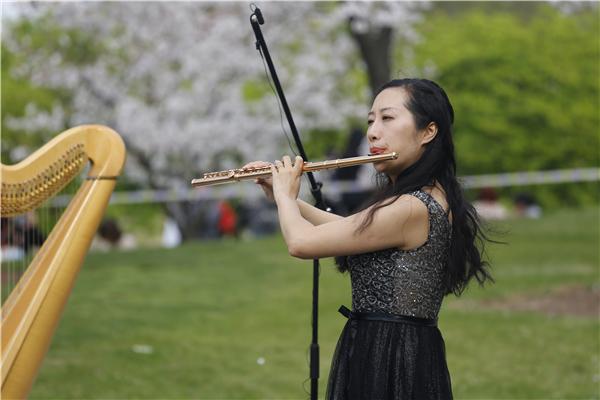 长笛品牌与价格大全，一场音乐的盛宴