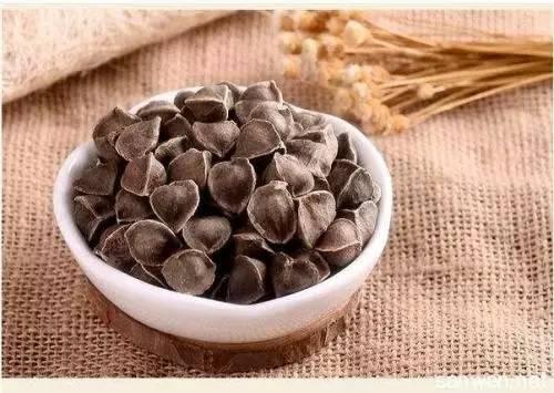 泛酸钙价格动态解析及趋势展望