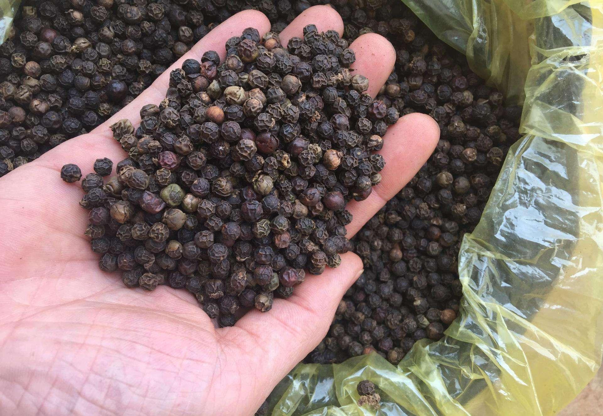 胡椒最新价格，味道在变，你的生活也在变。