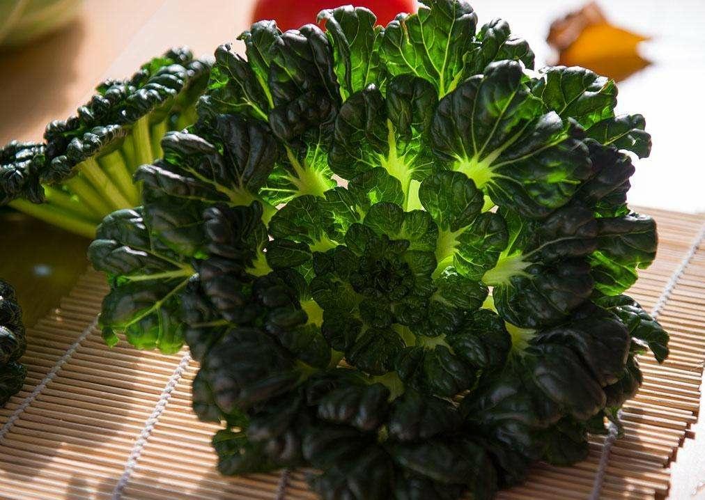 冬季上市蔬菜,如何在生活的寒冬中如蔬菜般蓬勃生长