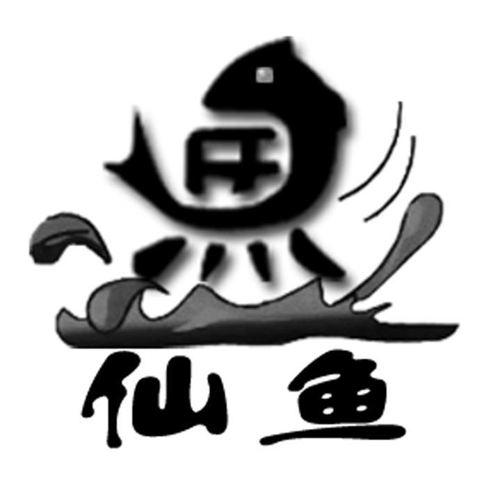 仙鱼最新章节，遨游知识海洋，见证自信与成长的奇迹