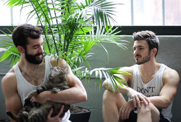 最新男同志社交平台,革新你的社交体验!