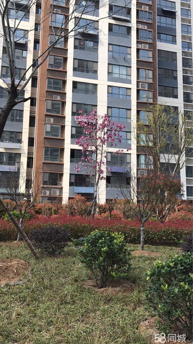 邹城雍景苑二手房信息,科技引领房产交易新体验,未来生活新篇章