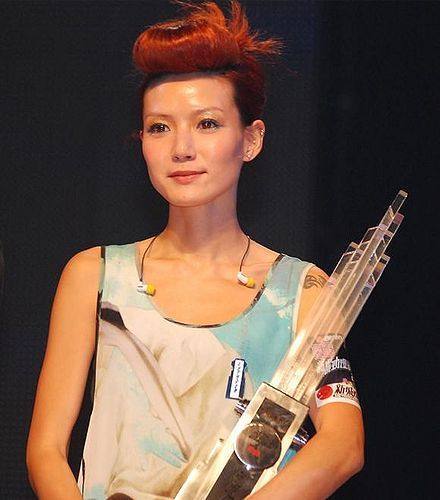 卢巧音音乐旅程新篇章，最新动态揭秘