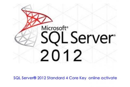 SQL最新动态,探索自然美景之旅,寻找内心的宁静之路