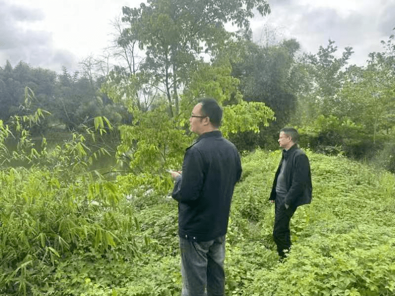 青杠资讯,友情的温馨日常与爱的陪伴时光