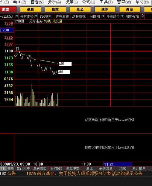 B股票详解，定义、特性及观点阐述