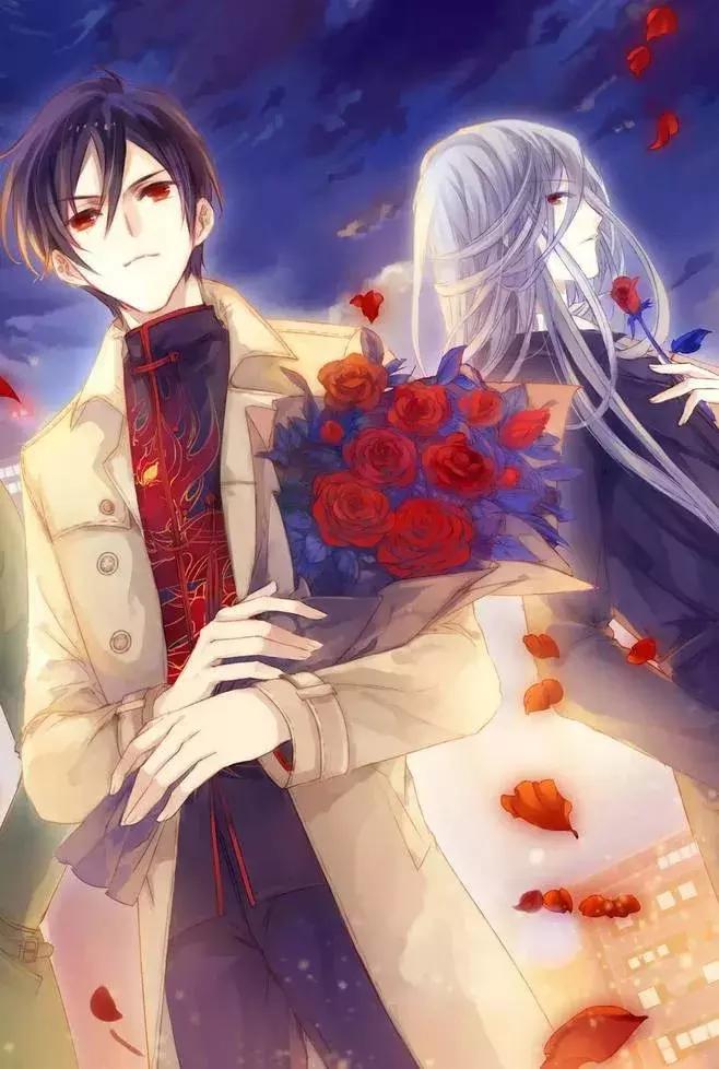 哑舍电视剧,日常温馨趣事与精彩瞬间