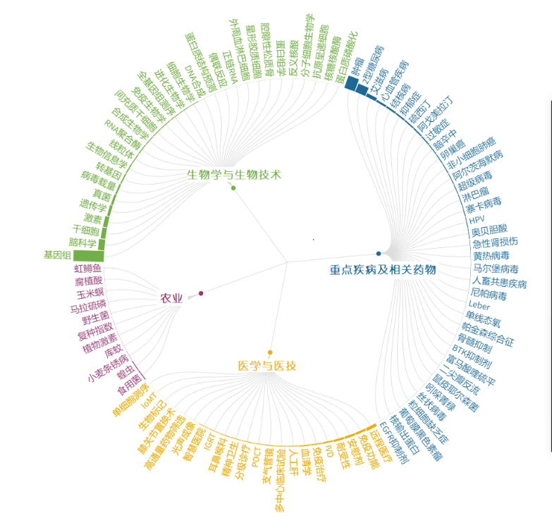 跃入量子时代,探索前沿进展,成就量子梦想之路