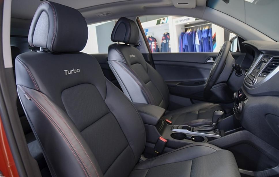 最新车模资讯，与自然共舞，启程宁静的内心探索之旅