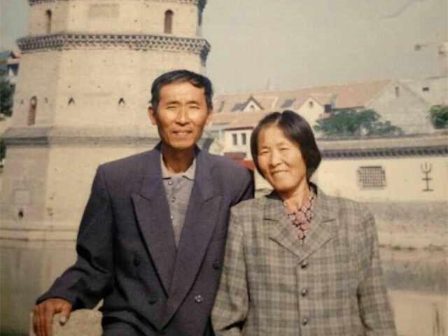 孟玲教授最新动态揭秘,自然之旅探索心灵宁静之道