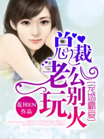 宠婚最新免费阅读，一场关于爱与责任的深度探讨