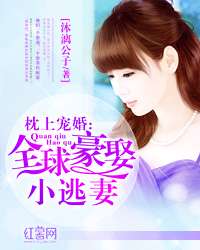 宠婚最新免费阅读,一场关于爱与责任的深度探讨