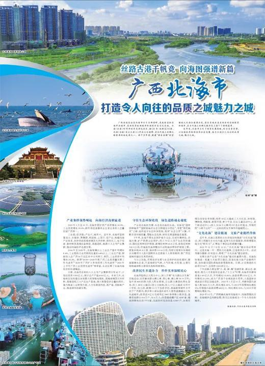 广西北海最新招商政策详解及指南