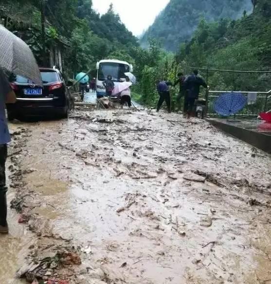 K1561最新运行线路全面解析与旅行指南，你的出行必备参考！