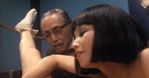 箱中女电影，深度探究其魅力与深远影响