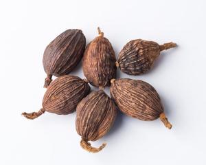 草果最新价格行情动态更新