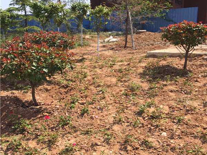 新泰陶然名城最新动态揭秘,友情的温馨日常更新