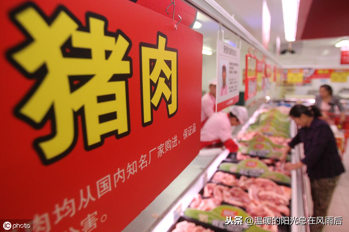 猪肉价格走势深度解析，探寻变化中的机遇与自我超越之路