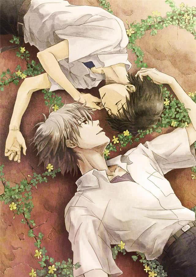 动漫男男H，屏幕与现实中的力量与鼓舞人心的成长之路