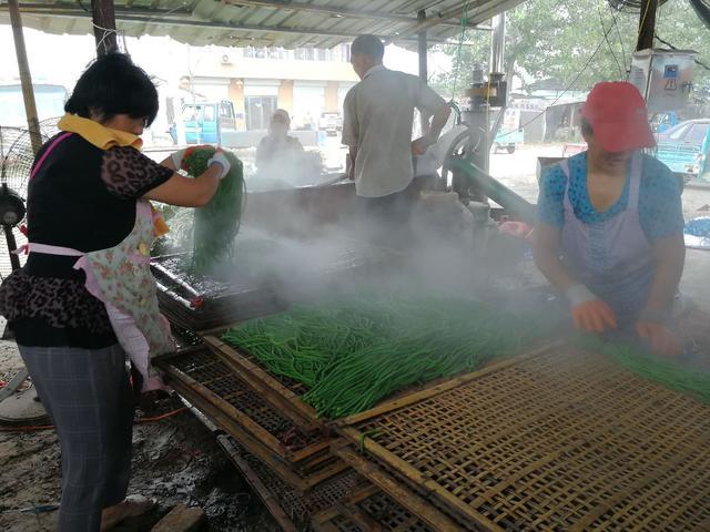 山东大蒜行情最新动态,全面解析山东大蒜市场指南